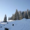20050226_Oberegg_175